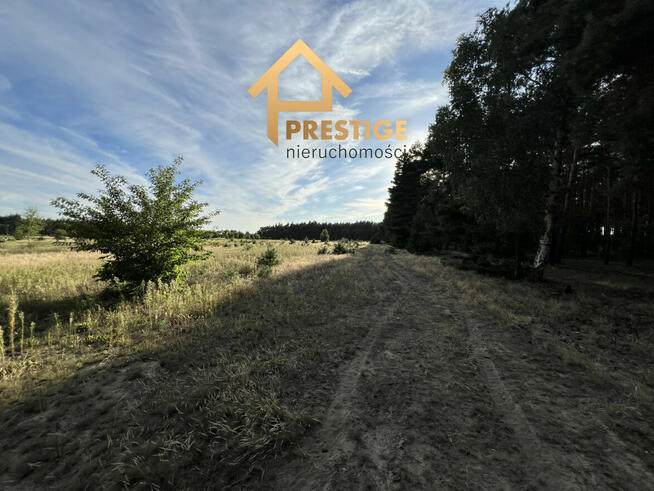 Działki pod budowę domu, Żółwieniec gm. Ślesin