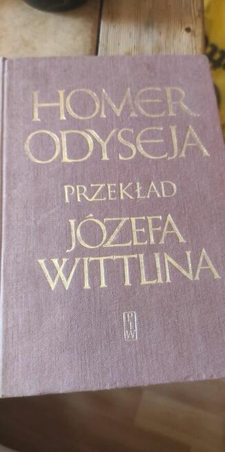 Homer - Odyseja
