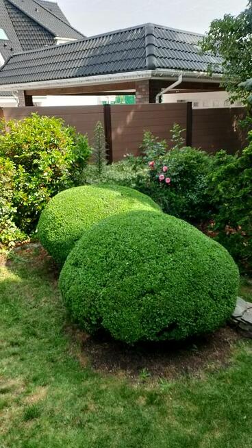 Pielęgnacja ogrodów