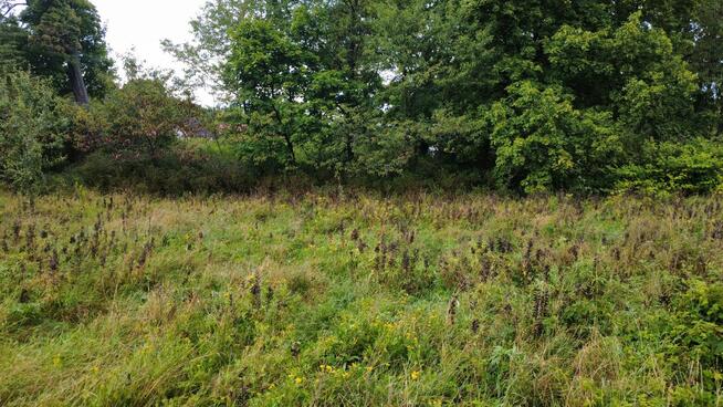 Cicha okolica nad jeziorem – działka 990 m², Cybulin