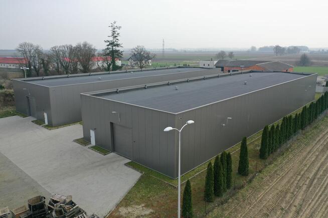 Nowe hale 1960 m² z dojazdem – Rzegnowo (Koncepcja 2)