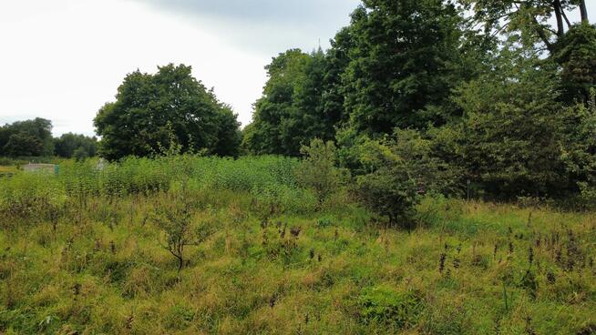 Cicha okolica nad jeziorem – działka 990 m², Cybulin