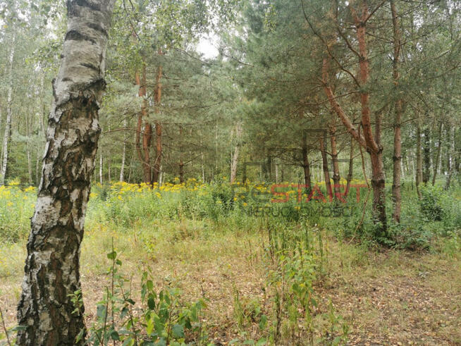 Działka budowlana Janinów gm. Grodzisk Mazowiecki,