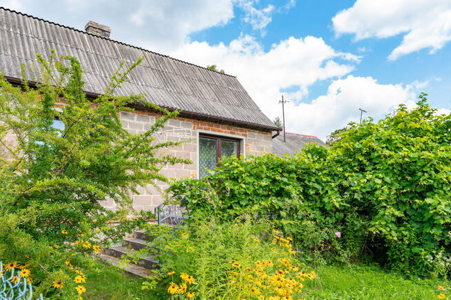 Dom z Wielkim Pięknym Lasem, Malownicza okolica
