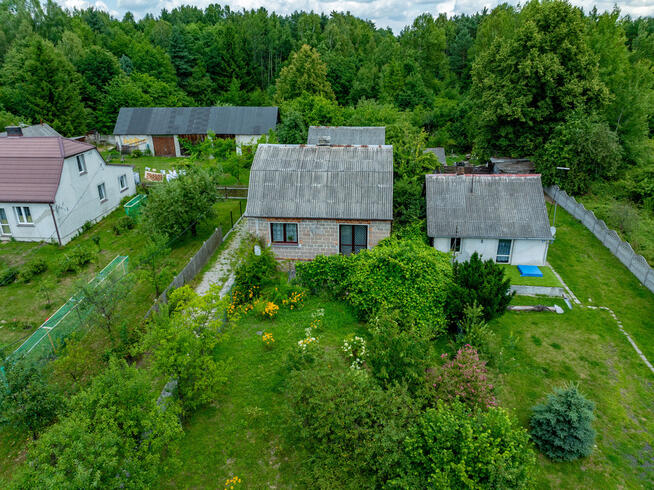 Dom z Wielkim Pięknym Lasem, Malownicza okolica