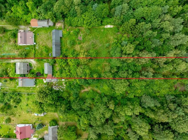 Dom z Wielkim Pięknym Lasem, Malownicza okolica