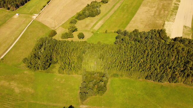 Ekologiczny dom w Bieszczadach