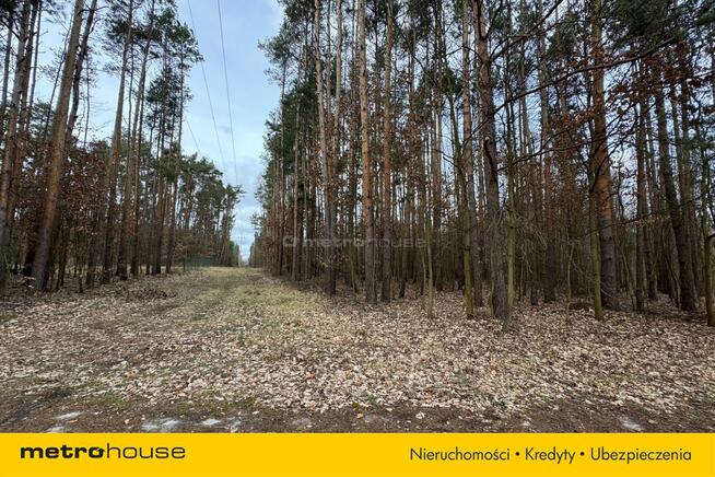 5 działek do wyboru w pięknej okolicy!