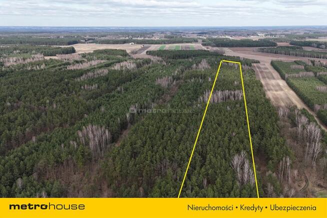 5 działek do wyboru w pięknej okolicy!