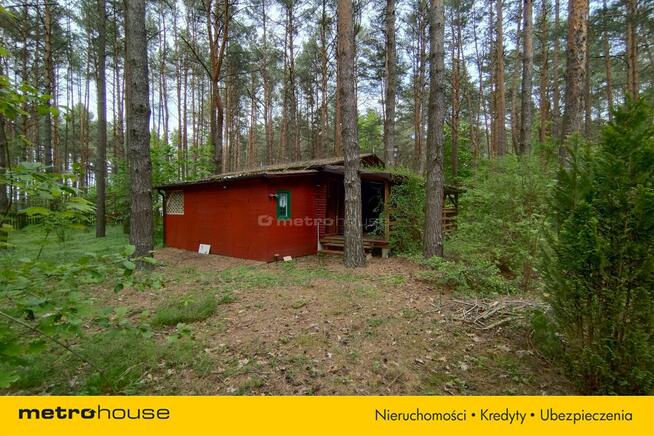 wolnostojący Dzbądz