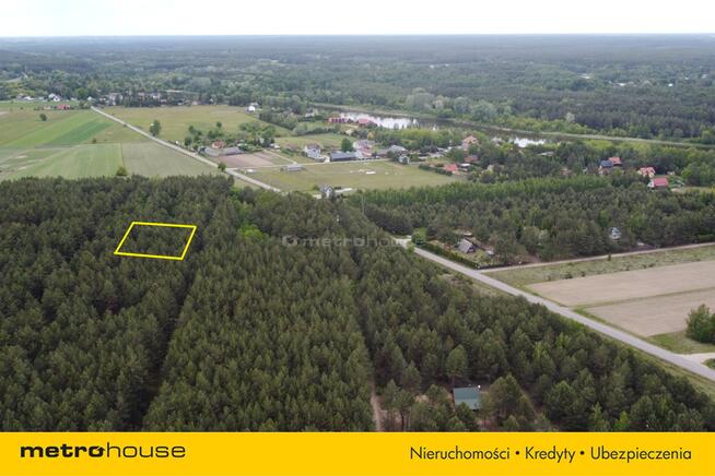 wolnostojący Dzbądz