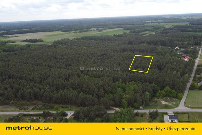 wolnostojący Dzbądz