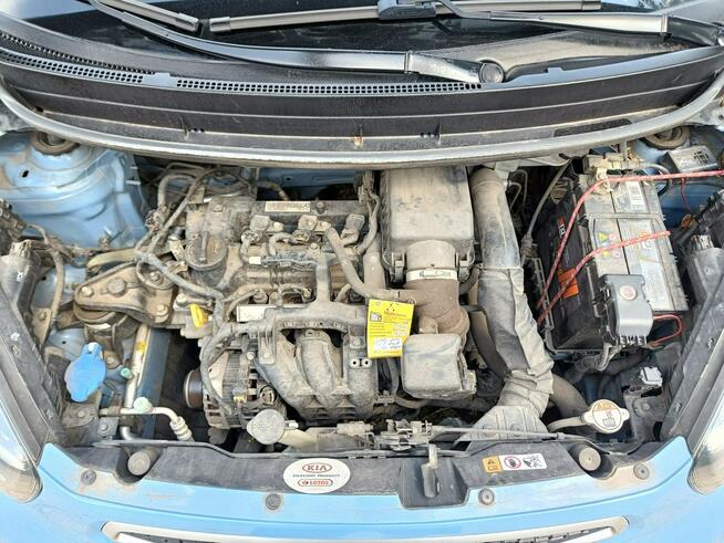 Kia Picanto Klimatyzacja / Czujniki parkowania / Polski salon