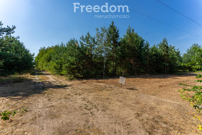 Działka 1000m² w Żelechowie - MPZP, S8