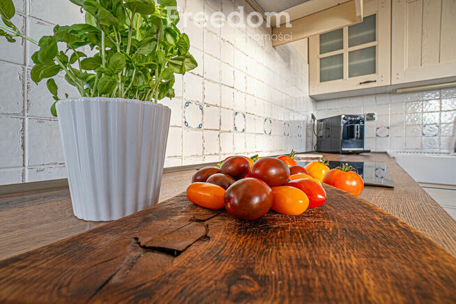 Przepiękna posiadłość pod Pasłękiem na sprzedaż