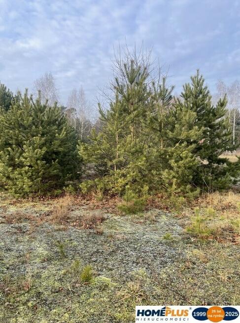 Na sprzedaż działka 5300 m², możliwość zakupu 1/2.