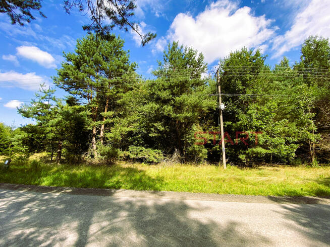 Działka inwestycyjna Zboiska gm. Radziejowice,