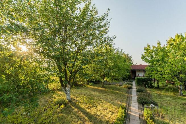 Działka ROD "Malwa" + domek z werandą