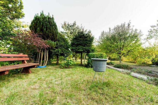 Działka ROD "Malwa" + domek z werandą