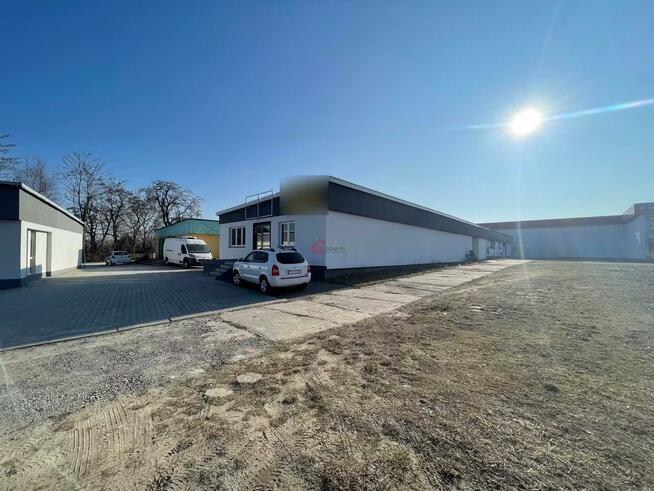 Lokal użytkowy Staszów, al. Tadeusza Kościuszki