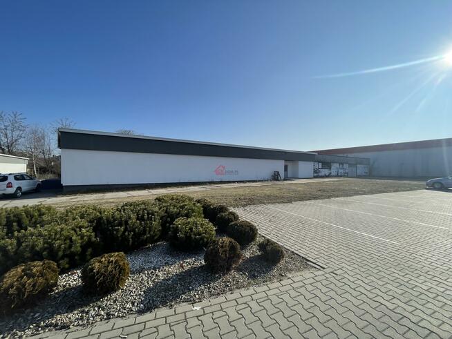 Lokal użytkowy Staszów, al. Tadeusza Kościuszki