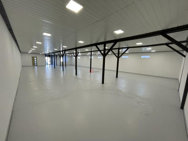 Lokal użytkowy Staszów, al. Tadeusza Kościuszki