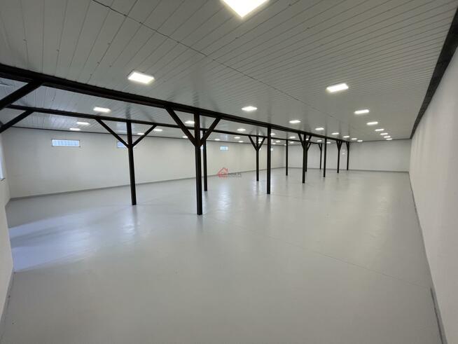 Lokal użytkowy Staszów, al. Tadeusza Kościuszki