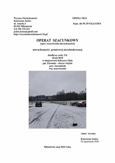 Syndyk sprzeda niezabudowaną działkę - park dworski