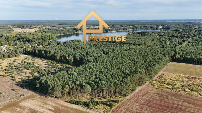 Działki pod budowę domu, Żółwieniec gm. Ślesin