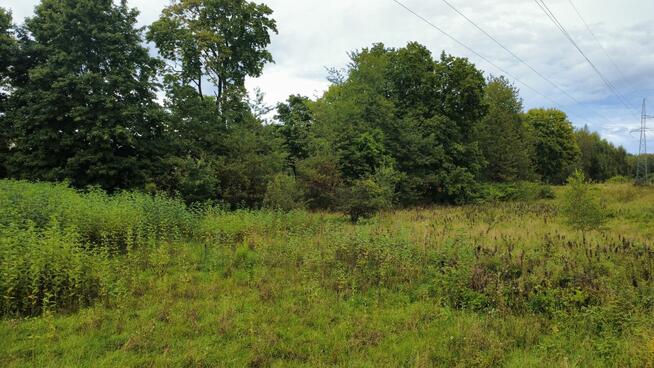 Cicha okolica nad jeziorem – działka 990 m², Cybulin