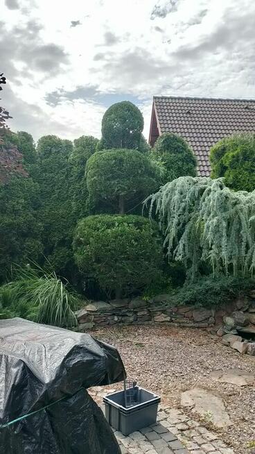 Pielęgnacja ogrodów