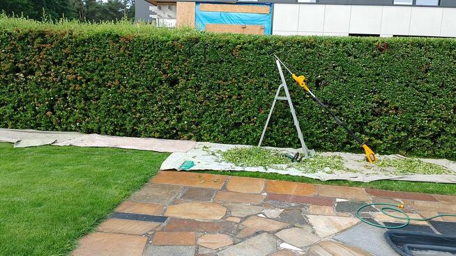 Pielęgnacja ogrodów