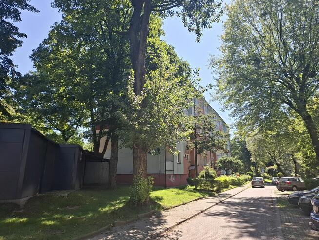 Mieszkanie 3-pokojowe w świetnej lokalizacji