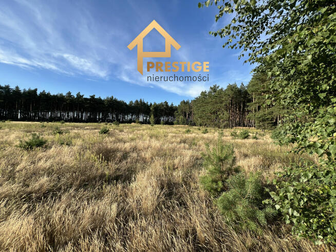 Działki pod budowę domu, Żółwieniec gm. Ślesin