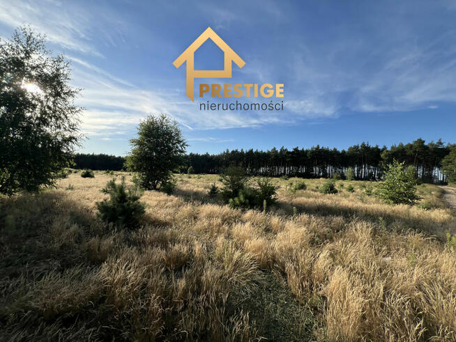 Działki pod budowę domu, Żółwieniec gm. Ślesin