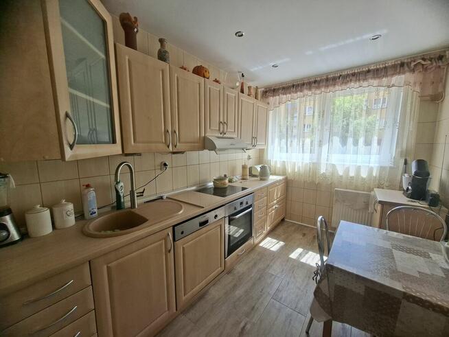 Pokój dla kobiety Wrocław - Gaj