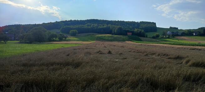 Działka Rolna Sielnica 87 arów blisko Sanu