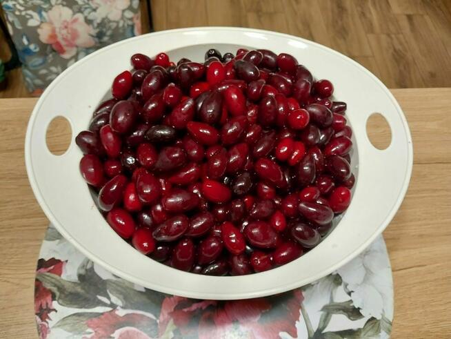 Dereń jadalny, owoce