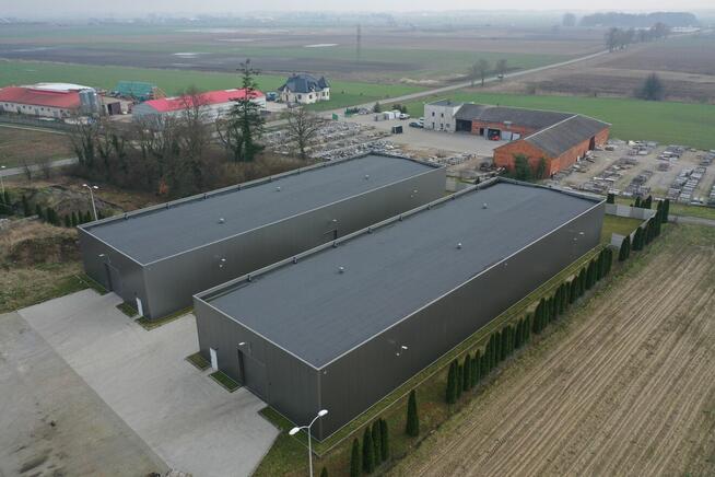 Nowe hale 1960 m² z dojazdem – Rzegnowo (Koncepcja 2)