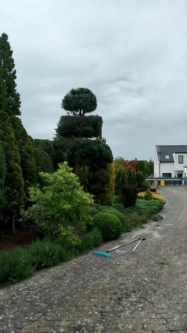 Pielęgnacja ogrodów