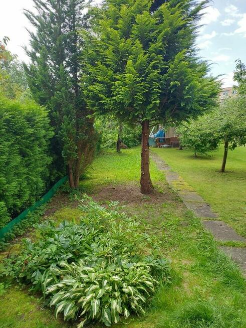 Klimatyczna kawalerka do wynajęcia