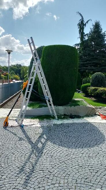 Pielęgnacja ogrodów