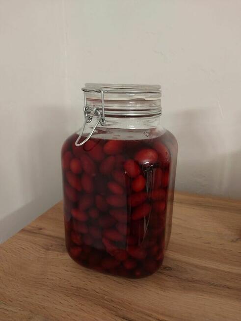 Dereń jadalny, owoce