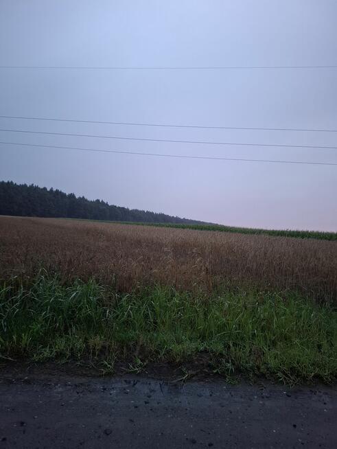 Sprzedam działkę