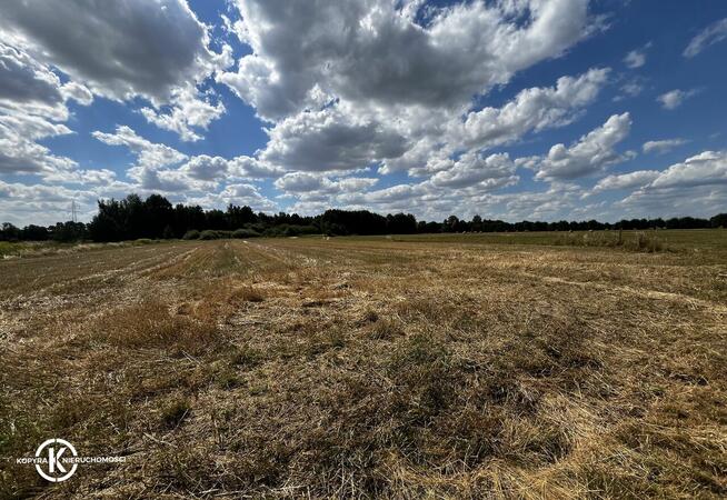 Na sprzedaż działka budowlana w Zamienicach