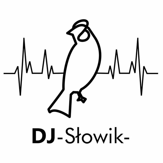Śpiewający DJ / Wodzirej – DJ Słowik Lębork – Oprawa Muzyczn