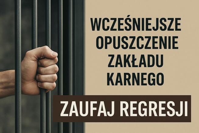 Od eksmisji przez prawo jazdy do zezwolenia na broń