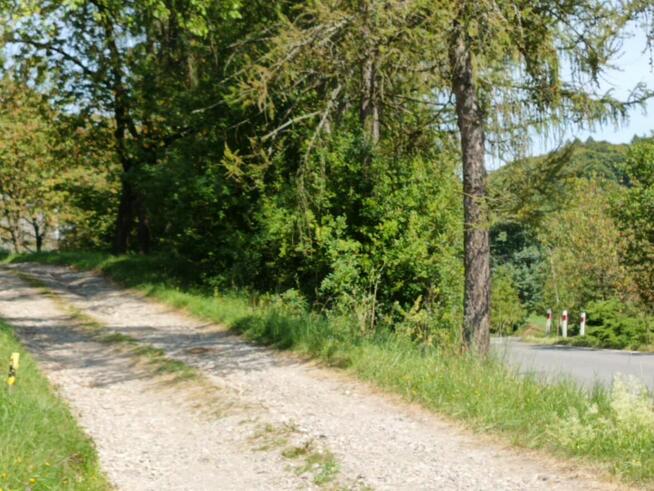 Działka budowlana - Janowice, powiat tarnowski, gm. Pleśna