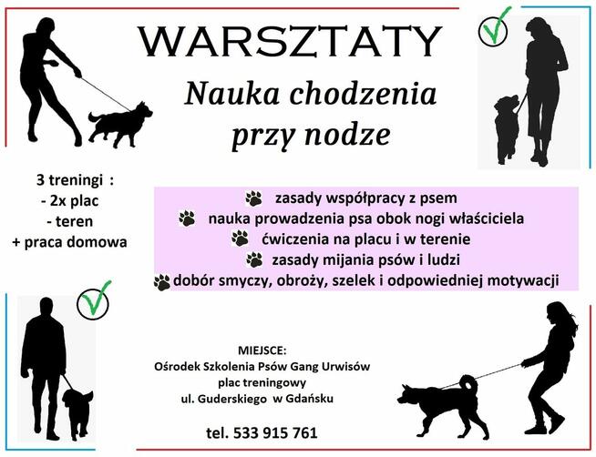 Nauka Chodzenia przy nodze dla psów i ludzi