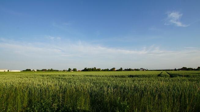 ostatnie 2 działki z 10ciu